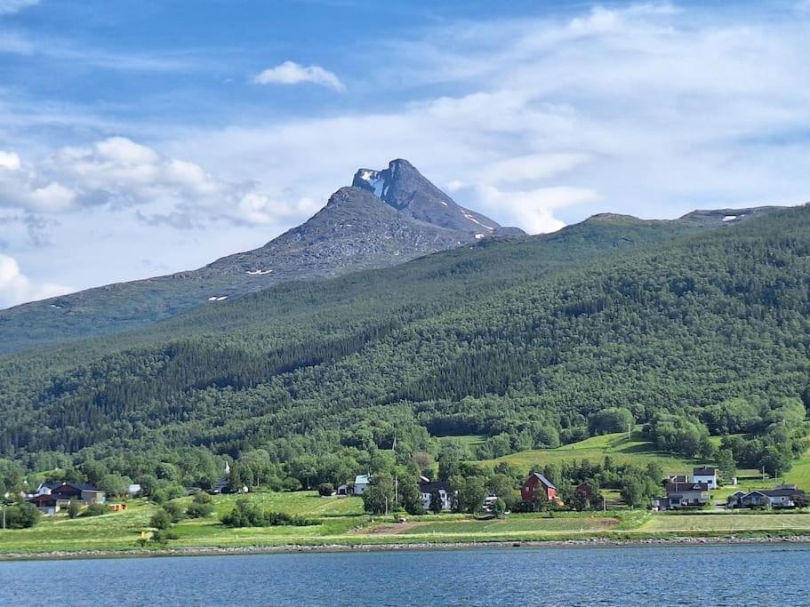 Privat Leilighet Pa Gard Med Badstue Og Nordlys Нарвік Екстер'єр фото